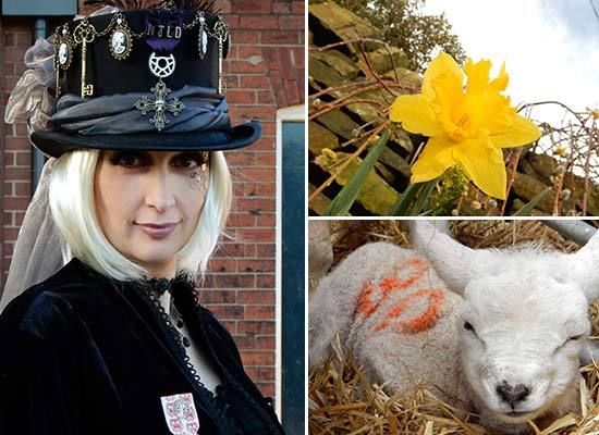 Nikon COOLPIX S9700（外装極上品・実写作例あり） Nikon Coolpix