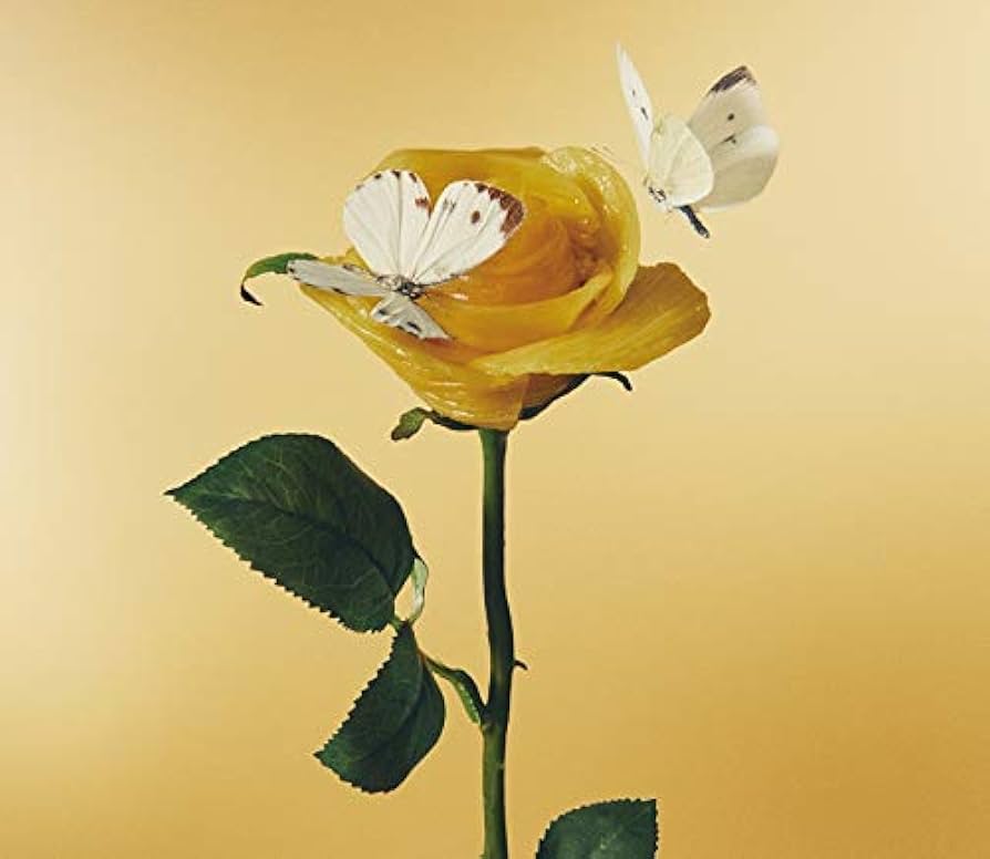 Amazon.co.jp: おいしいパスタがあると聞いて (初回限定盤): ミュージック