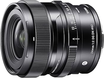 Amazon.com : 24mm F2 DG DN for Sony E : Electronics