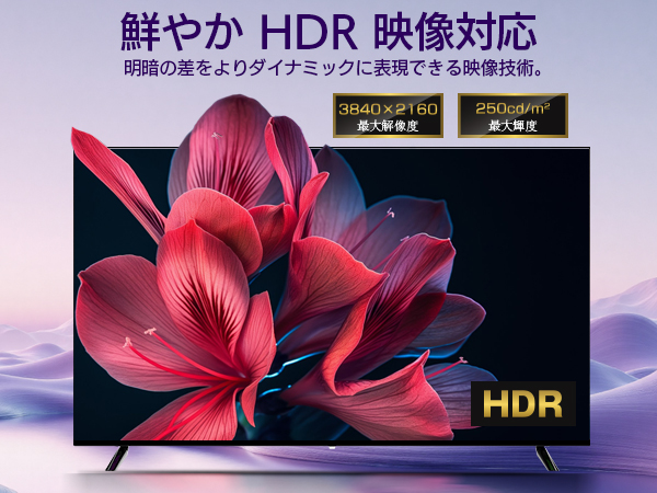 Amazon | ASTEX チューナーレスTV 50インチ 4K Android TV搭載